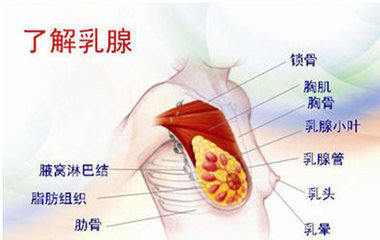 乳腺炎的症状有哪些？