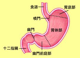 十二指肠溃疡有什么症状？