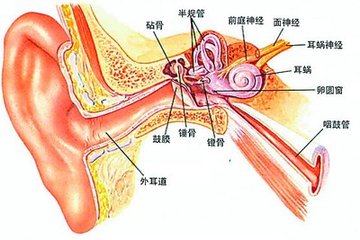 造成耳聋的原因有哪些？