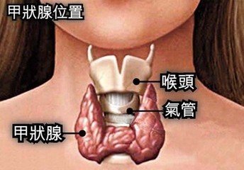 引起甲状腺肿大的原因有哪些?