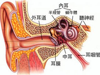 治疗耳聋需要多少钱？