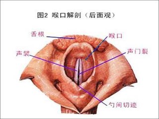 慢性咽炎的危害大吗？