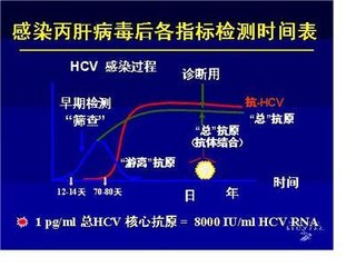 丙肝应该检查哪些项目?